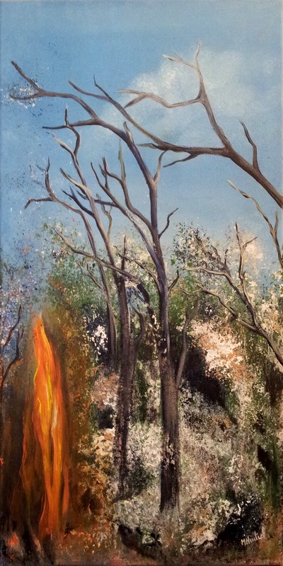 Tableau de Marie HURTREL représentant un paysage en feu.